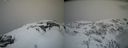 ./images/calvert/buxton2/20210407/buxton220210407_114003M.jpg