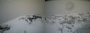 ./images/calvert/buxton2/20210407/buxton220210407_115003M.jpg