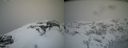 ./images/calvert/buxton2/20210407/buxton220210407_122003M.jpg