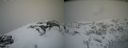 ./images/calvert/buxton2/20210407/buxton220210407_122503M.jpg