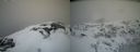 ./images/calvert/buxton2/20210407/buxton220210407_124504M.jpg