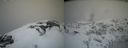 ./images/calvert/buxton2/20210407/buxton220210407_125004M.jpg
