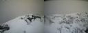 ./images/calvert/buxton2/20210407/buxton220210407_133505M.jpg