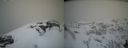 ./images/calvert/buxton2/20210407/buxton220210407_134005M.jpg