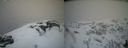 ./images/calvert/buxton2/20210407/buxton220210407_134505M.jpg