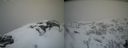 ./images/calvert/buxton2/20210407/buxton220210407_135004M.jpg