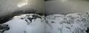 ./images/calvert/buxton2/20210407/buxton220210407_140003M.jpg