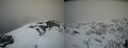 ./images/calvert/buxton2/20210407/buxton220210407_143503M.jpg
