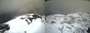 ./images/calvert/buxton2/20210407/buxton220210407_144003M.jpg