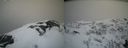 ./images/calvert/buxton2/20210407/buxton220210407_145005M.jpg