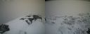 ./images/calvert/buxton2/20210407/buxton220210407_163503M.jpg