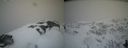 ./images/calvert/buxton2/20210407/buxton220210407_164002M.jpg