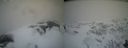 ./images/calvert/buxton2/20210407/buxton220210407_164503M.jpg