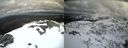 ./images/calvert/buxton2/20210408/buxton220210408_140503M.jpg