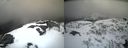 ./images/calvert/buxton2/20210408/buxton220210408_163504M.jpg