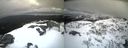 ./images/calvert/buxton2/20210408/buxton220210408_181004M.jpg