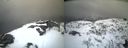 ./images/calvert/buxton2/20210408/buxton220210408_192502M.jpg