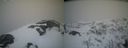 ./images/calvert/buxton2/20210408/buxton220210408_195504M.jpg