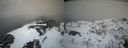 ./images/calvert/buxton2/20210409/buxton220210409_140003M.jpg