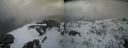 ./images/calvert/buxton2/20210409/buxton220210409_144503M.jpg