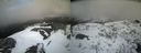 ./images/calvert/buxton2/20210409/buxton220210409_155502M.jpg