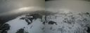 ./images/calvert/buxton2/20210409/buxton220210409_174003M.jpg