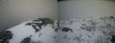 ./images/calvert/buxton2/20210409/buxton220210409_194503M.jpg