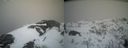 ./images/calvert/buxton2/20210409/buxton220210409_195003M.jpg
