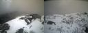 ./images/calvert/buxton2/20210409/buxton220210409_195503M.jpg