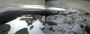 ./images/calvert/buxton2/20210411/buxton220210411_181002M.jpg