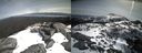 ./images/calvert/buxton2/20210413/buxton220210413_112003M.jpg