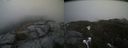 ./images/calvert/buxton2/20210423/buxton220210423_123503M.jpg