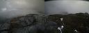 ./images/calvert/buxton2/20210423/buxton220210423_132504M.jpg
