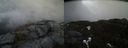 ./images/calvert/buxton2/20210423/buxton220210423_133504M.jpg