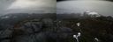 ./images/calvert/buxton2/20210423/buxton220210423_144503M.jpg