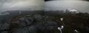 ./images/calvert/buxton2/20210423/buxton220210423_145003M.jpg