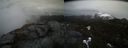 ./images/calvert/buxton2/20210423/buxton220210423_152003M.jpg