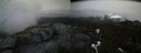 ./images/calvert/buxton2/20210423/buxton220210423_152503M.jpg