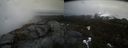 ./images/calvert/buxton2/20210423/buxton220210423_155503M.jpg