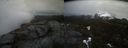 ./images/calvert/buxton2/20210423/buxton220210423_160004M.jpg