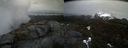 ./images/calvert/buxton2/20210423/buxton220210423_160503M.jpg