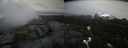 ./images/calvert/buxton2/20210423/buxton220210423_162004M.jpg