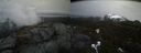 ./images/calvert/buxton2/20210423/buxton220210423_163504M.jpg