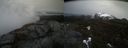 ./images/calvert/buxton2/20210423/buxton220210423_164004M.jpg