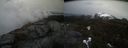 ./images/calvert/buxton2/20210423/buxton220210423_164504M.jpg