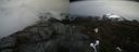 ./images/calvert/buxton2/20210423/buxton220210423_165004M.jpg
