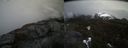 ./images/calvert/buxton2/20210423/buxton220210423_165504M.jpg