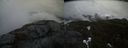 ./images/calvert/buxton2/20210423/buxton220210423_172004M.jpg