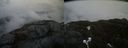 ./images/calvert/buxton2/20210423/buxton220210423_172504M.jpg
