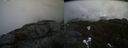 ./images/calvert/buxton2/20210423/buxton220210423_173503M.jpg